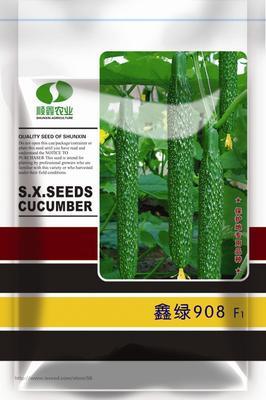 供應鑫綠908黃瓜,北京順鑫農業股份耘豐種業, 中國蔬菜網產品庫