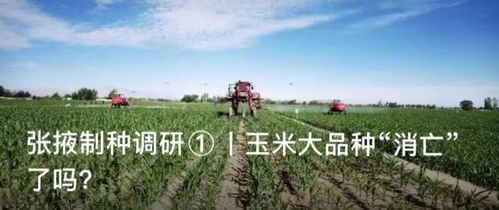 種業大事件丨廣東 四川 山西 天津等地有啥新動作