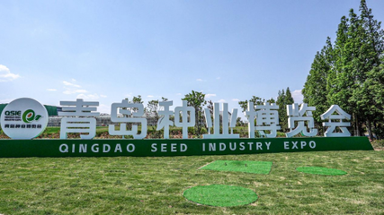 青島種業博覽會室外展區揭秘 國內外名優品種驚艷亮相