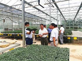 【山東】博盛種業(yè)來(lái)到安信種苗,促進(jìn)友好合作