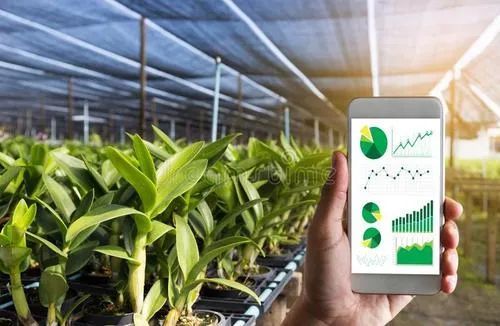 數(shù)字化種業(yè) 中國(guó)農(nóng)業(yè)發(fā)展的核心變量